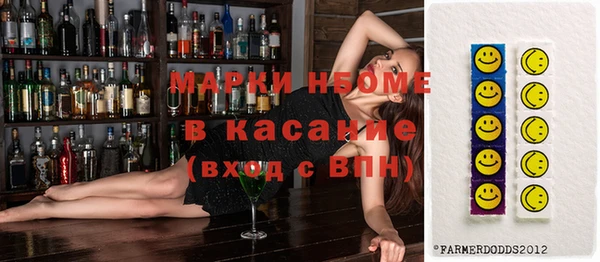 хмурый Алзамай
