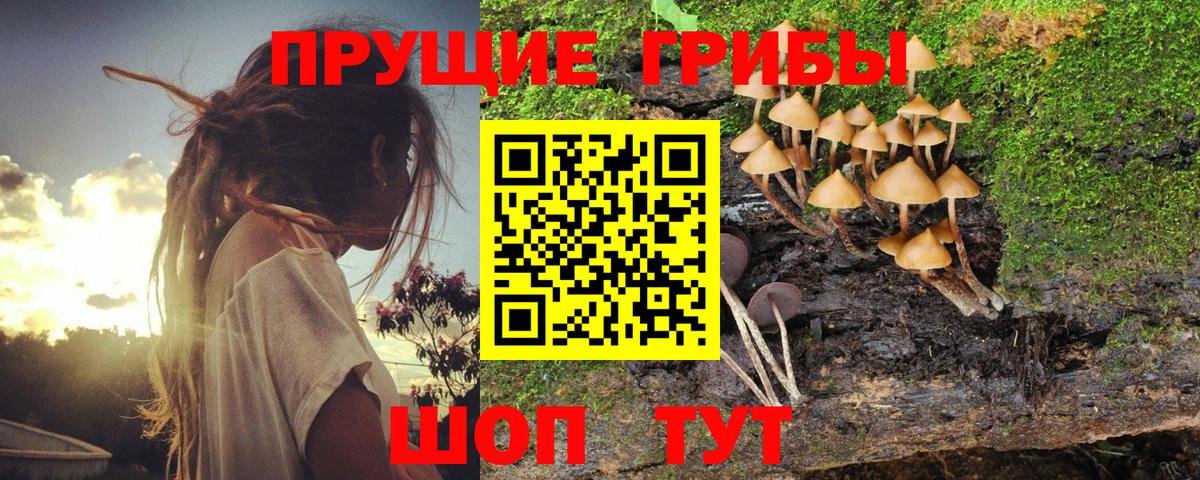 Галлюциногенные грибы мицелий Новокубанск