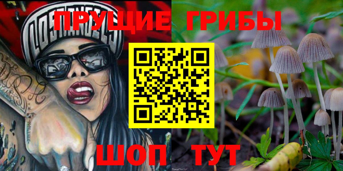 Псилоцибиновые грибы мицелий  Вход с VPN  Новокубанск  Галлюциногенные грибы GOLDEN TEACHER 